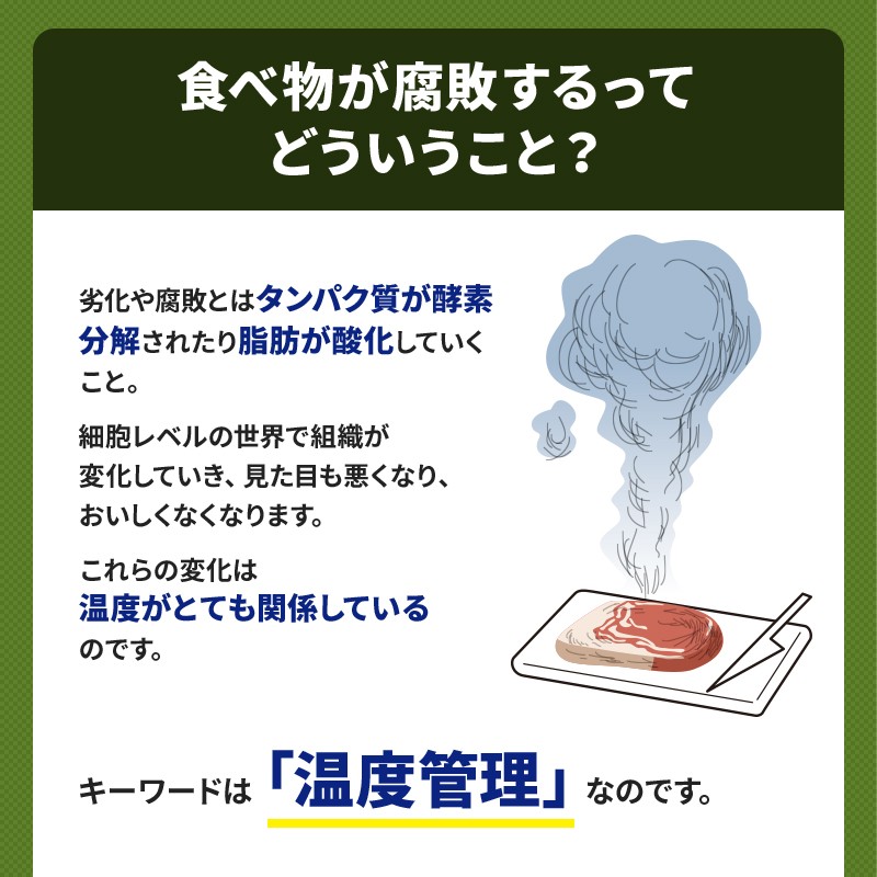 <メーカー直送>ダイレイ -60℃ 超低温 冷凍庫 フィッシュボックス FBU-50eco 51L / 家庭用 引き出し フリーザー