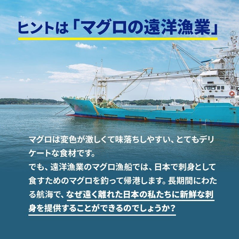 <メーカー直送>ダイレイ -60℃ 超低温 冷凍庫 フィッシュボックス FBU-50eco 51L / 家庭用 引き出し フリーザー