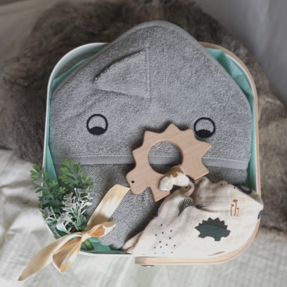 【ギフト特典】今話題のliewood恐竜ベビーセット /7