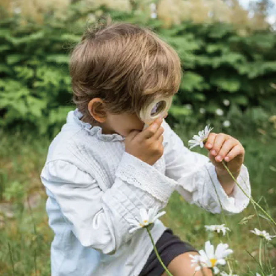 【kid's concept】キッズコンセプト Nature discovery set for kids 木製おもちゃ kidsconcept