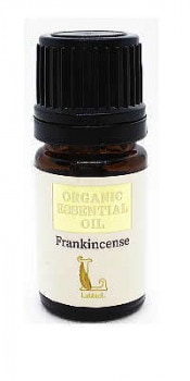 Boswellia sacraե󥭥󥻥()