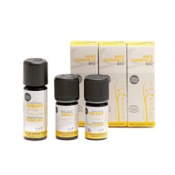 Citrus aurantiumʥץ