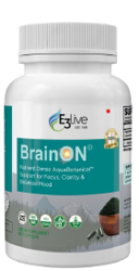 E3Live Brain on ˥ץ90