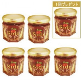 SIDR HONEYʥʥĥ˪̪ˡ5ġ1ĥץ쥼ȡ