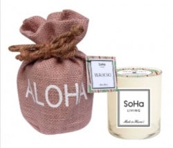 SoHa Living(ͥ㡼ɥ˥磻