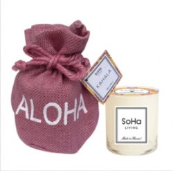 SoHa Living(ͥ㡼ɥ˥ϥ