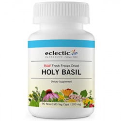 HOLY BASIL(ۡ꡼Х45ץ