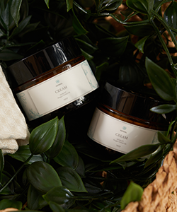 O2 Kraftʹǻٻǡ˥ϡХ륯꡼