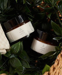 O2 Kraftʹǻٻǡ˥ϡХ륯꡼