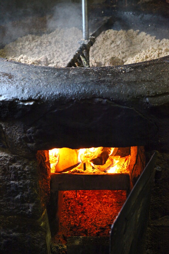 Huilerie de Blot ʸ250ML