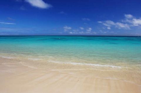 lanikai bath and body work (�ȥ��ԥ���ϥ�ɥ��꡼��˥������åɥ�꡼