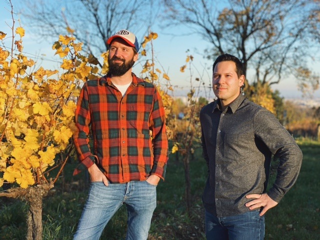 Edelrebe Organics Traubenmost Gruner (ƺ塼