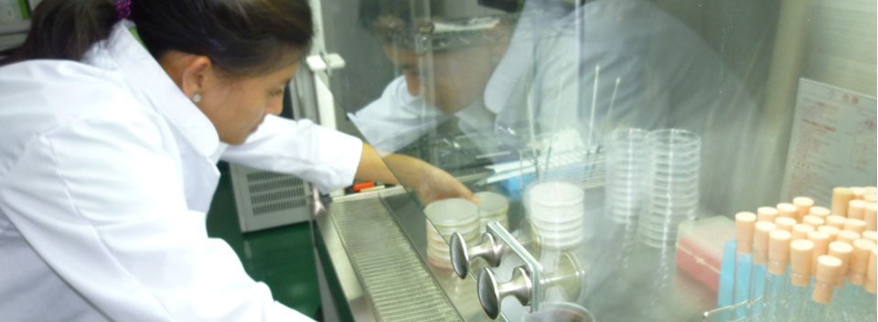 BIO NORMALIZER(�Х����Ρ��ޥ饤�����˹��ǥѥ�����