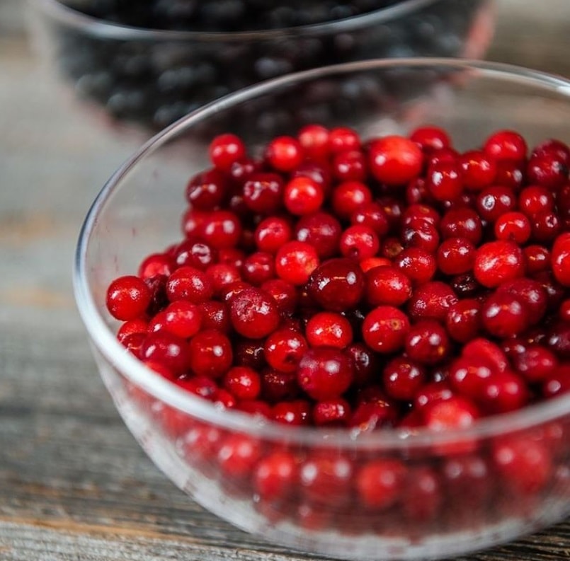 BIOKIA�����٥꡼���塼��������ML������ꡦϷ��ʪ��