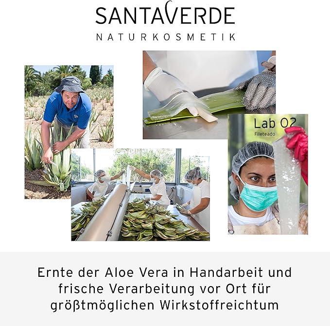 SANTAVERDE(���󥿥٥�ǡ˥��顼�������Ʊ�