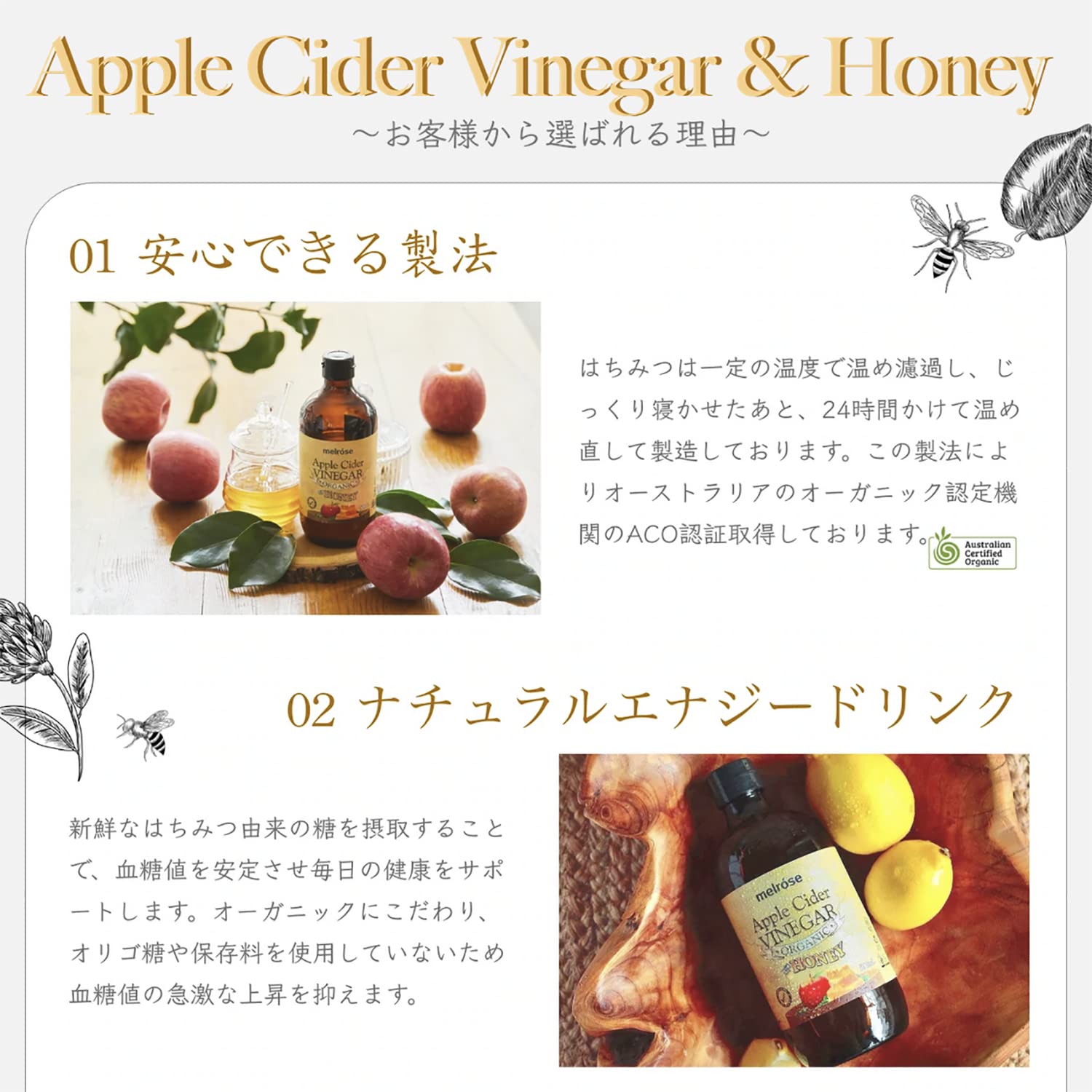 MELROSE åץ륵ӥͥϥˡ