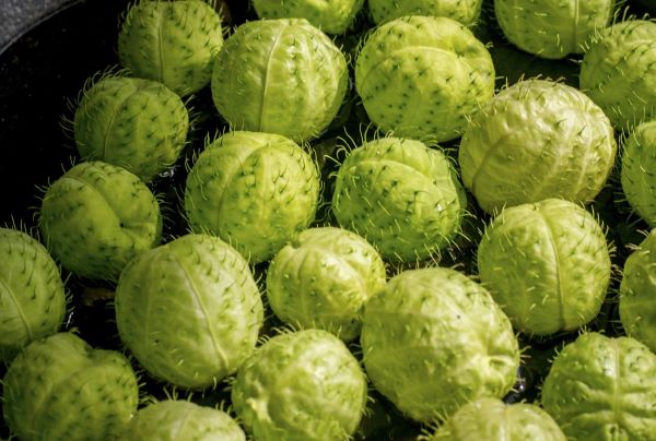 Jevie(SERUM)���Ʊ�