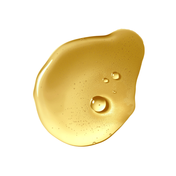 Jevie(The Barrier Extract)�Хꥢ������