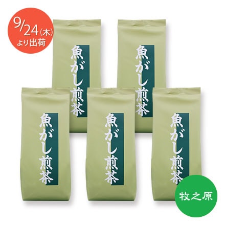 [9��18����ͽ������] ��Ƿ���� ���������� 250g��5��
