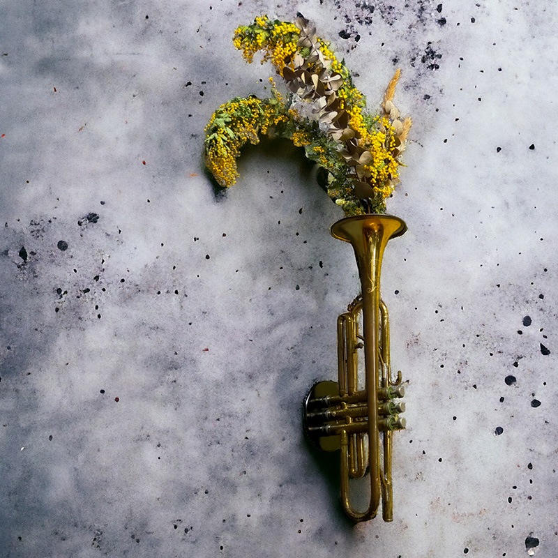 trumpet×flower base