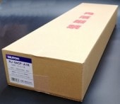 491����Ȥ������ãУ����� (2��/Ȣ)