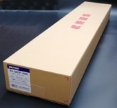 492����Ȥ������ãУ����� (2��/Ȣ)