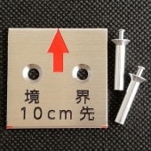 973�����ƥ󣴣� ���𶭳�����10cm��