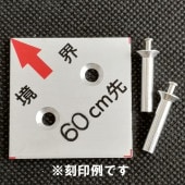 988������ߣ��� ���𶭳�2�� cm����