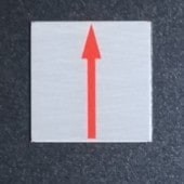 409������ߣ��� ���� Ž (10����)