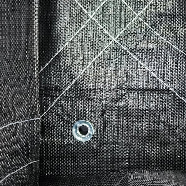 1498������ȡ��ȥХå� (5����)