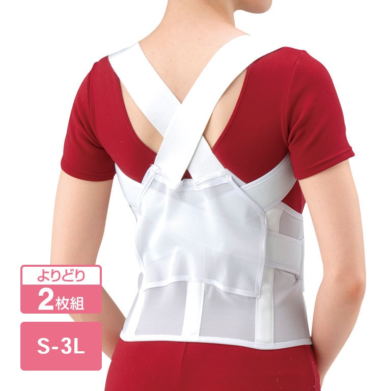 NEW背筋補正ベルト 2点セット S～LとLL～3Lから選べる 【通常
