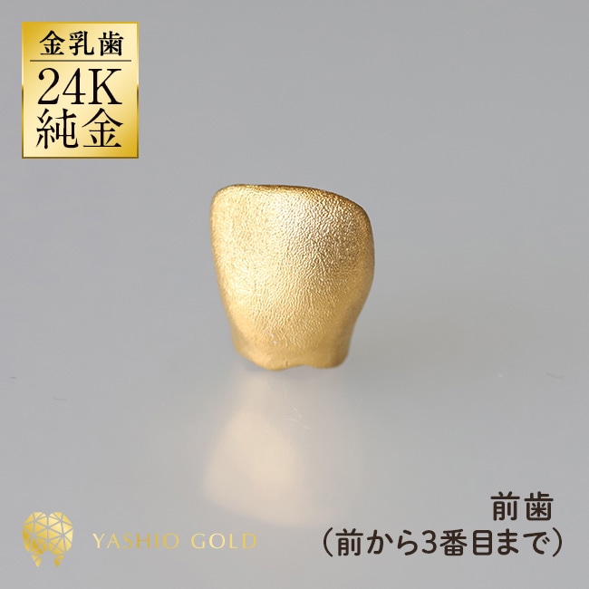 金乳歯 前歯 【通常】