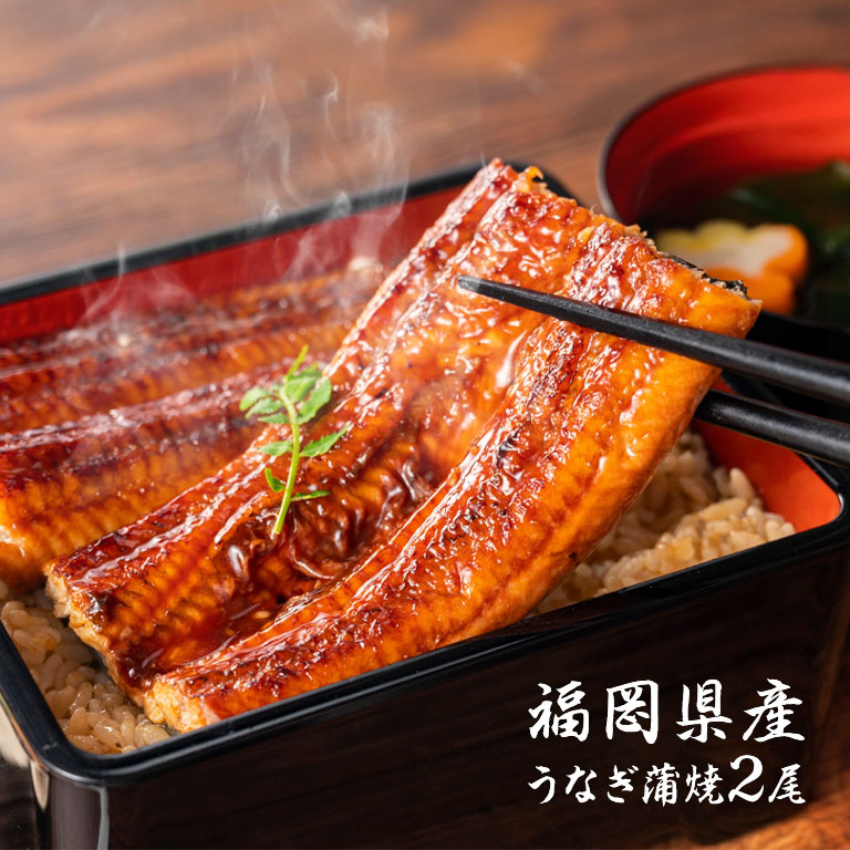 【直送】 福岡県産 うなぎ蒲焼 2尾セット