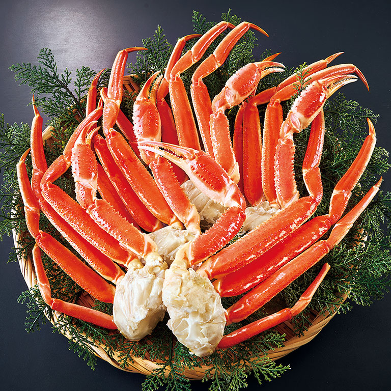 加山雄三ベストコレクション～永遠の若大将～ 【通常】｜nihonchokuhan