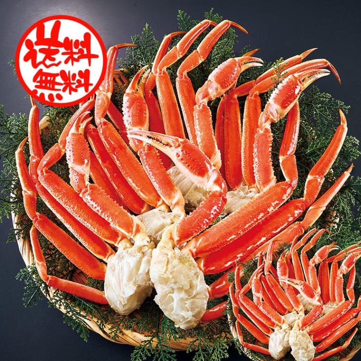 紀州南高梅 完熟つぶれ梅 1.5kgセット【通常】｜nihonchokuhan(日本