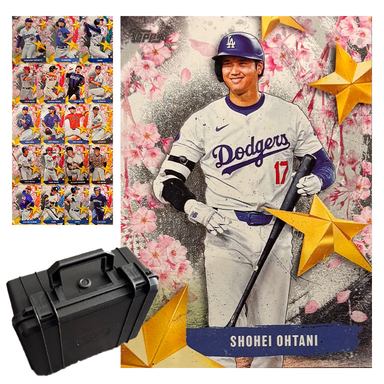 直送】 STARS OF JAPAN インサートカード 全20種コンプリート