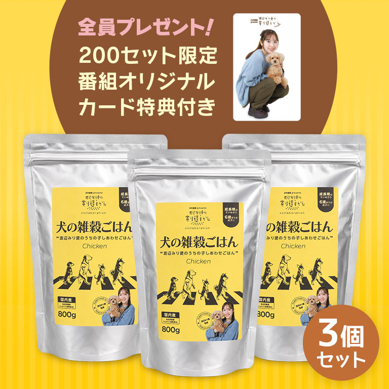 犬の雑穀ごはん ～渡辺みり愛のうちの子しあわせごはん～ 3個セット （購入特典・抽選特典付） 【通常】