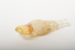 【NEW】Hand made Glass Mouthpiece ”IZUMO"ハンドメイドグラスマウスピース”出雲 ”(スイッチバック)