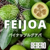 SEBERO���٥���FEIJOA(Pineapple&Guava) 100g