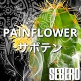 SEBERO���٥���Pain Flower(Cuctus���ܥƥ�)100g
