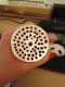Tangiers  Noir  Summer Resort (���ޡ��꥾���ȡ�100g