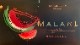 MALAKI(������)WaterMelon50g