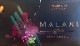 MALAKI(���졼�ץߥ��)Grape Mint50g