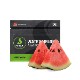 Fumari Watermelon�եޥ�(�������� 100g