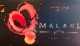 MALAKI(�ۥ磻�ȥԡ���)White Peach50g
