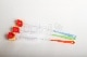 ��NEW��Vase Cleaning Brush XL �ܥȥ�ʥ١����˥��꡼�˥󥰥֥饷��XL��