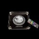 �������ʡ�SHISHABUCKS ��LED LIGHT�ɥ�������Хå�����LED�饤��"