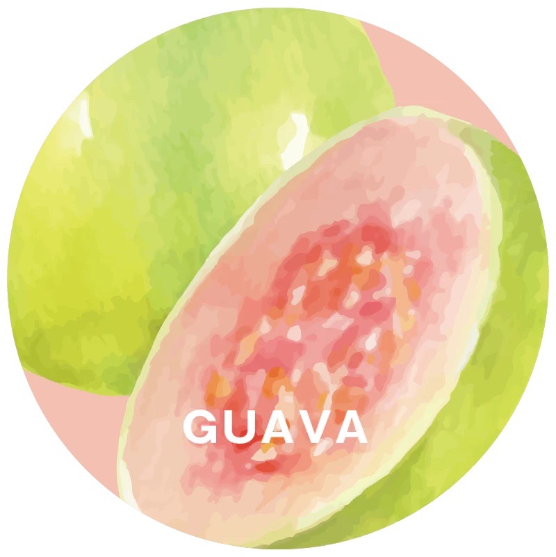 FRU+TAS�ե륿�� Guava������50g