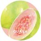 FRU+TAS�ե륿�� Guava������50g