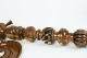 ��LIMITED EDITION��Farida Hookahs ��Oima Brown��  �ե�����ա������ꥢ�륦�åɡʥ��ƥ�쥹�����󥹥ƥ��100cm